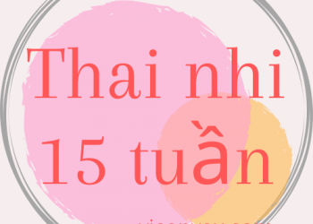Sự thay đổi của thai nhi 15 tuần?